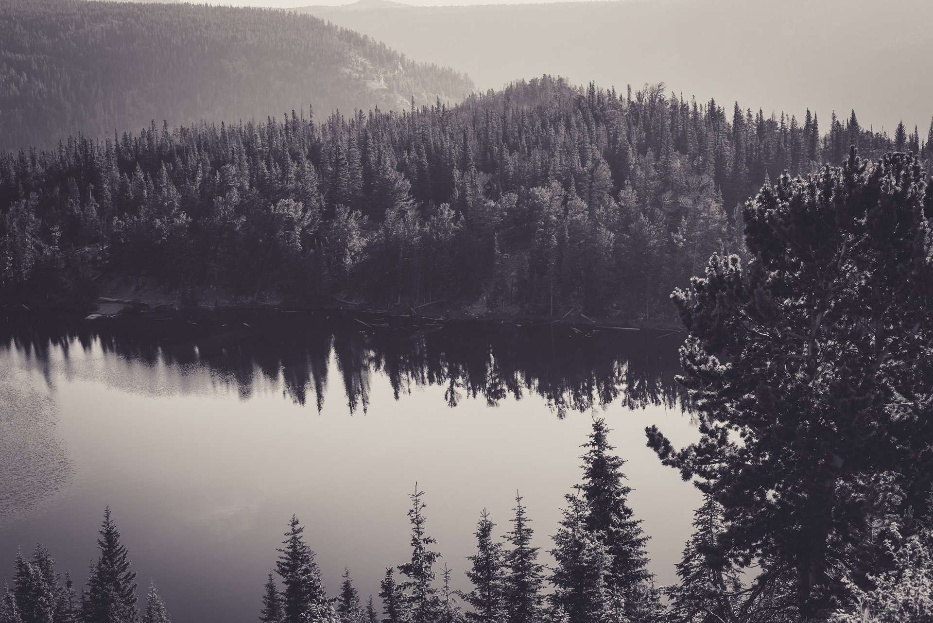 一秒发1000条手机号的软件